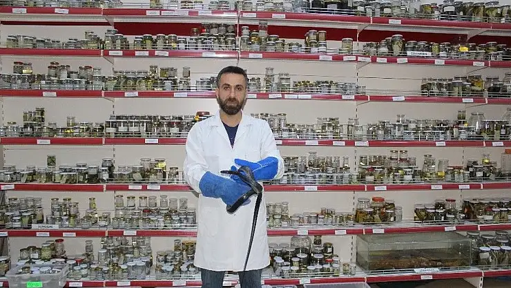 'Sürüngen ve kurbağa laboratuvarı müzeye dönüştürülüyor'