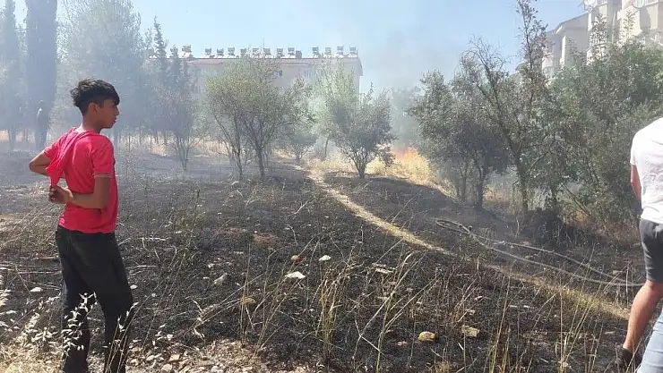 'Ot yangını meyve ağaçlarına sıçradı'