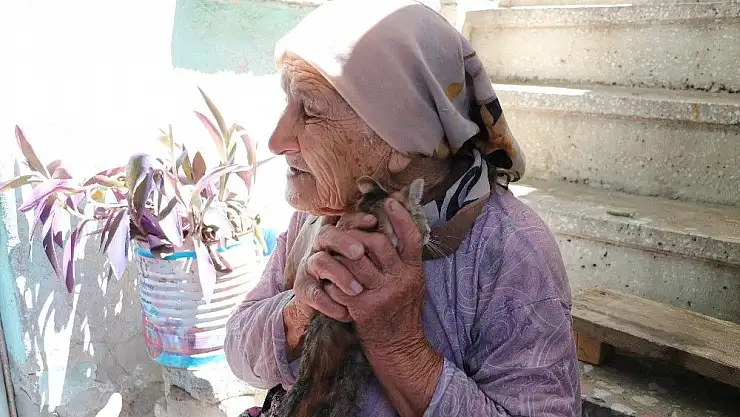 'Otomobilin çarptığı kedisinin ardından gözyaşı döken yaşlı kadın yürek burktu'