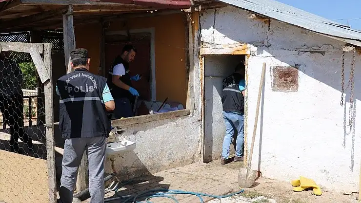 'Hırsızlar anne koyunu kuzularından ayırmadı'