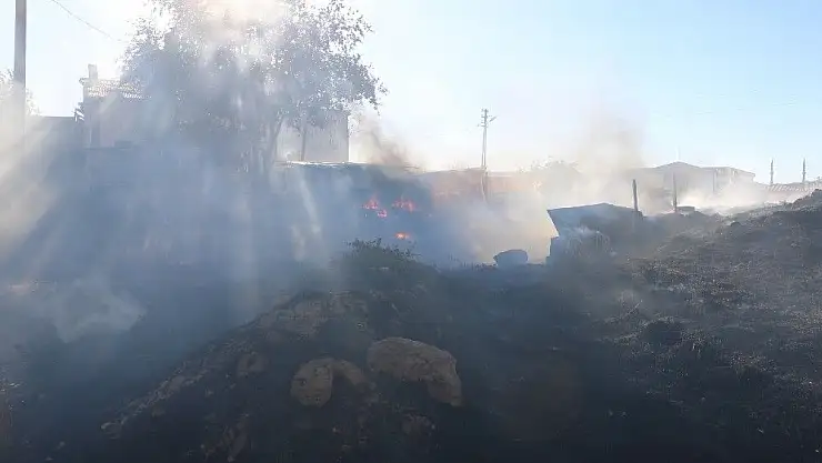 'Ot yangını korkuttu'