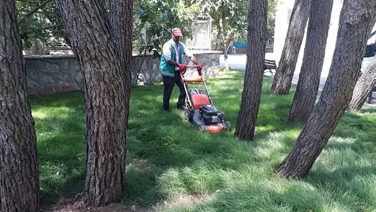 'Yeşil alanlarda bakım ve temizlik çalışması'