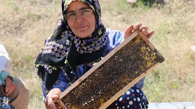 'Arılar onu sokmuyor'