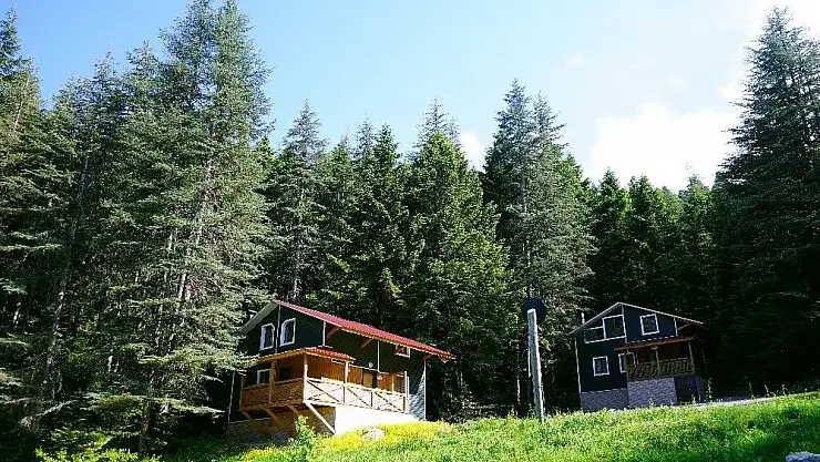 'Kahramanmaraş´ın Alpleri: `Başkonuş Yaylası´'