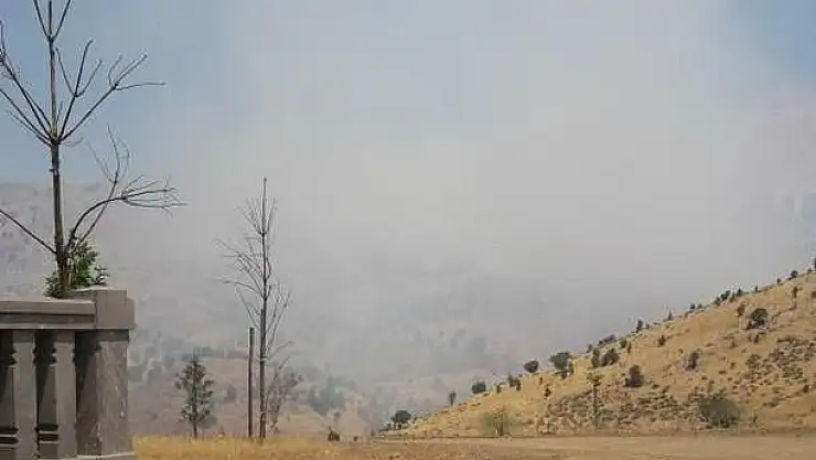 'Adıyaman´da orman yangını'