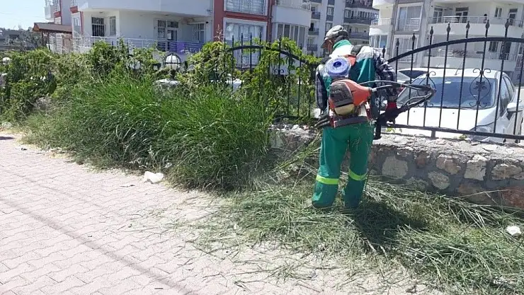 'Tehlikelere davetiye çıkaran yabani otlar temizleniyor'