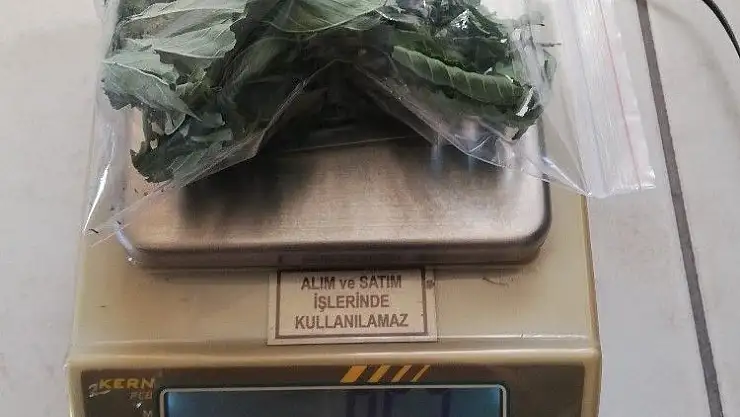 'Narkotik sokak operasyonlarında 2 tutuklama'