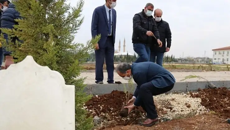 '2020 Yılında vefat edenler adına ağaç dikiliyor'