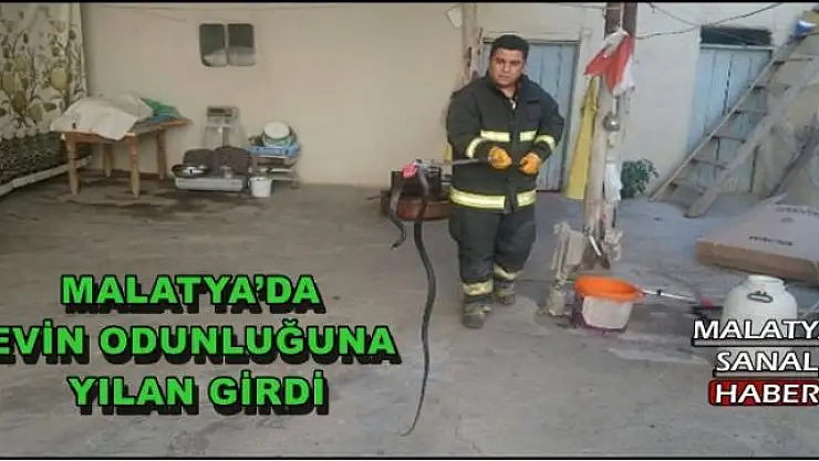 MALATYA´DA EVİN ODUNLUĞUNA YILAN GİRDİ
