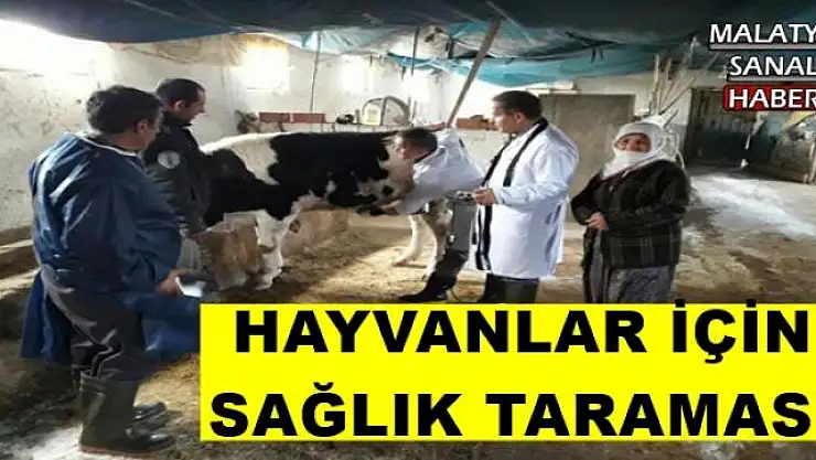 HAYVANLAR İÇİN  SAĞLIK TARAMASI
