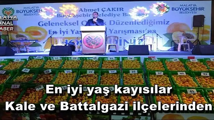 En iyi yaş kayısılar Kale ve Battalgazi ilçelerinden