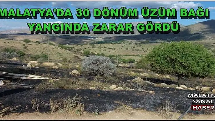 MALATYA'DA 30 DÖNÜM ÜZÜM BAĞI YANGINDA ZARAR GÖRDÜ