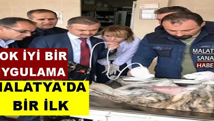 MALATYA'DA  BİR İLK