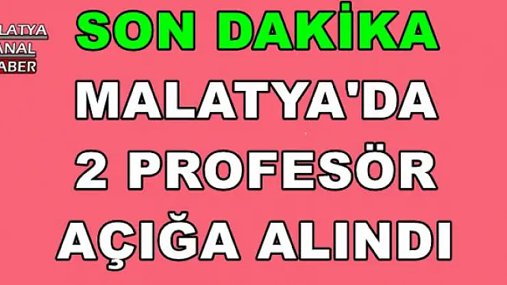 MALATYA'DA  2 PROFESÖR  AÇIĞA ALINDI