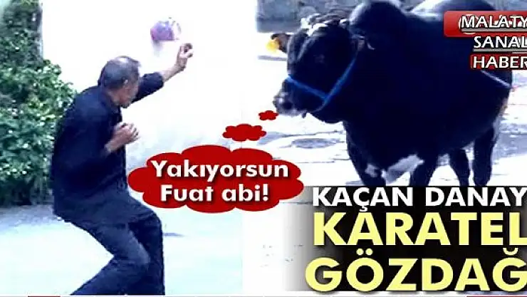 KAÇAN DANAYA KARATELİ GÖZDAĞI