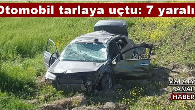 Otomobil tarlaya uçtu: 7 yaralı
