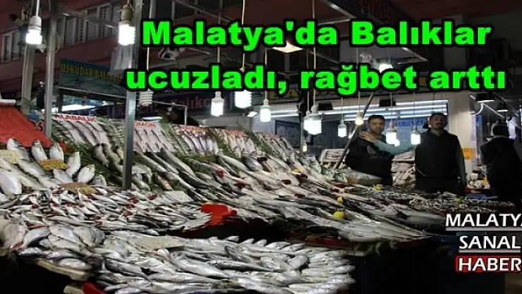 Malatya'da Balıklar  ucuzladı, rağbet arttı