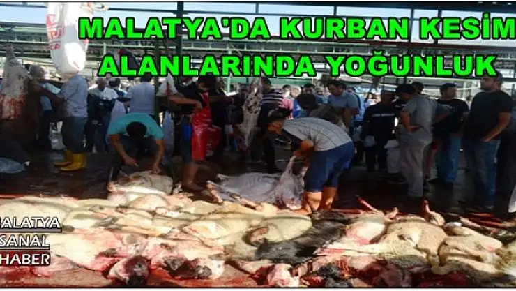 MALATYA'DA KURBAN KESİM  ALANLARINDA YOĞUNLUK