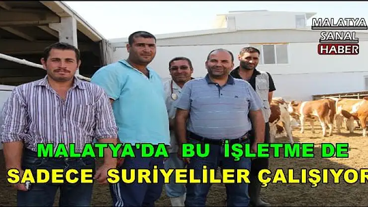 MALATYA'DA  BU  İŞLETME DE SADECE  SURİYELİLER ÇALIŞIYOR