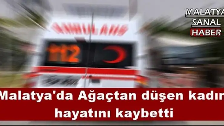 Malatya'da Ağaçtan düşen kadın  hayatını kaybetti