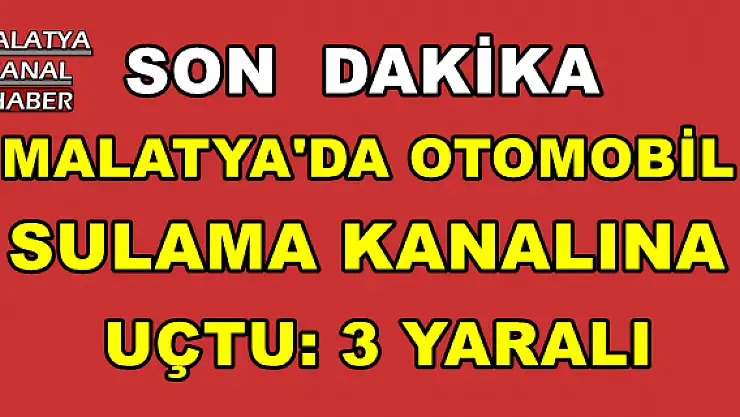 Malatya'da Otomobil sulama kanalına uçtu: 3 yaralı