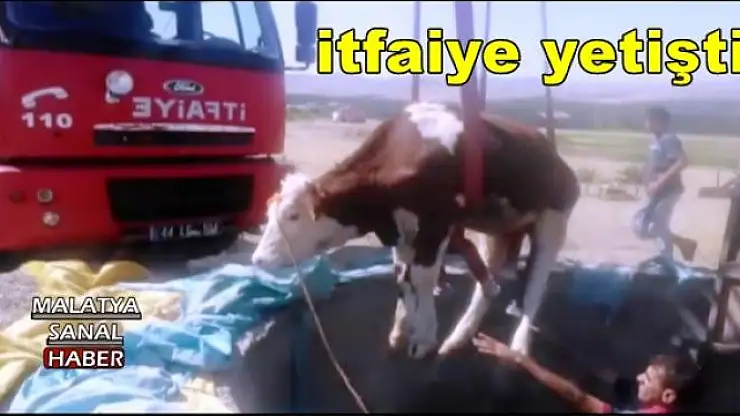 Malatya'da   itfaiye  ineğe yetişti