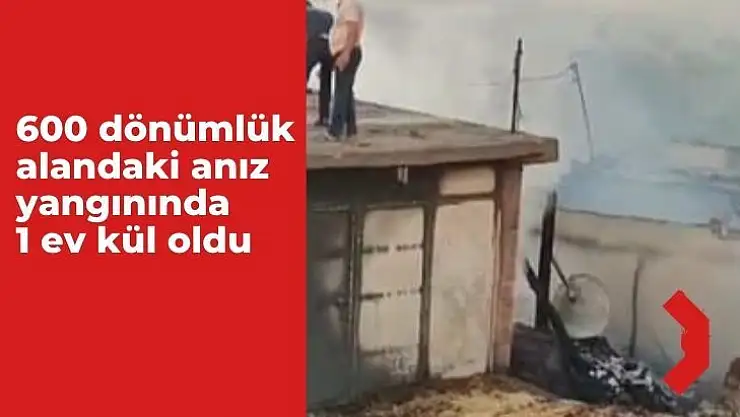 600 dönümlük alandaki anız yangınında 1 ev kül oldu
