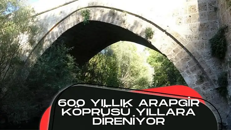 600 yıllık Arapgir Köprüsü yıllara direniyor