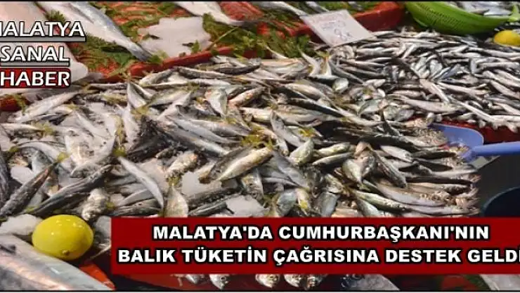 MALATYA'DA CUMHURBAŞKANI'NIN  BALIK TÜKETİN ÇAĞRISINA DESTEK GELDİ