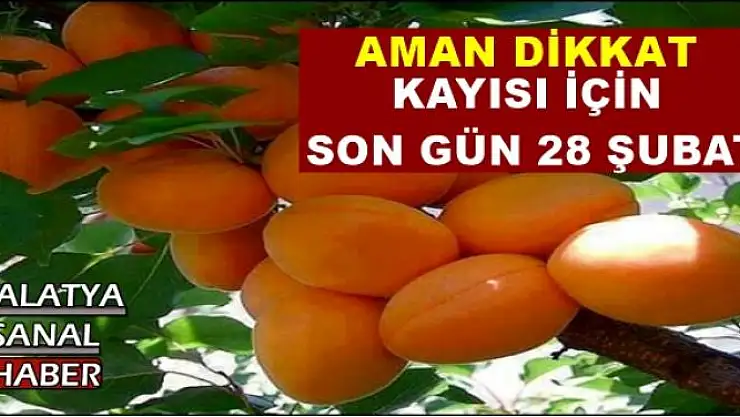 KAYISI İÇİN SON GÜN 28 ŞUBAT