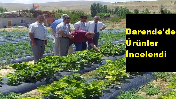 DARENDE'DE ÜRETİM SAHALARI GEZİLDİ