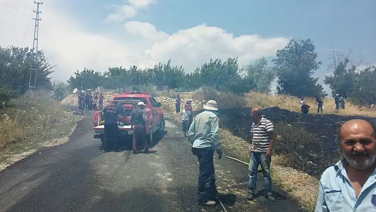 KAYISI BAHÇESİNDE YANGIN