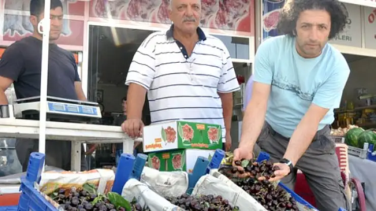 Malatya´da İhracat Yapılmayınca Kiraz Dalında Kaldı