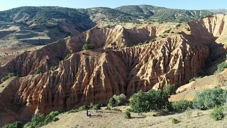 'Adı ürkütse de görüntüsü hayran bırakıyor'