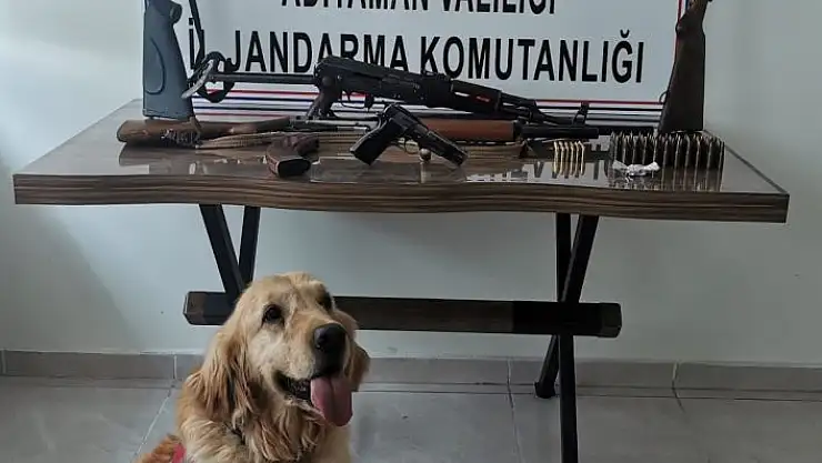 'Adışaman´da eş zamanlı silah operasyonu: 2 gözaltı'