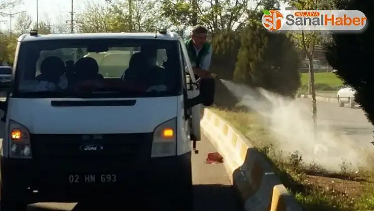 Adıyaman Belediyesi yabani otları imha ediyor