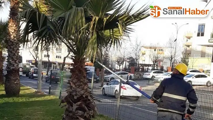 Adıyaman'da  ağaçlara bahar bakımı