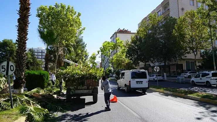 'Adıyaman´da ağaçlar budanıyor'