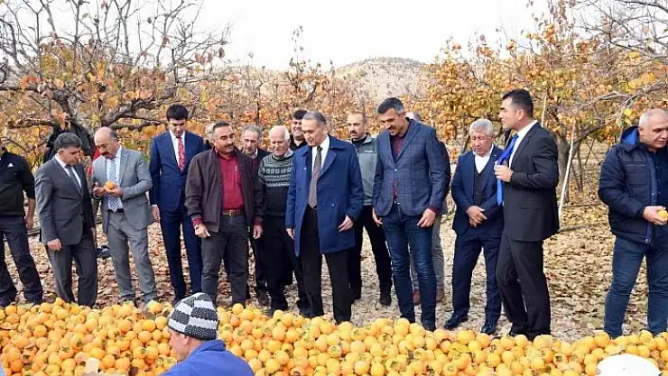 'Adıyaman´da ´Cennet Hurması´ hasadı başladı'