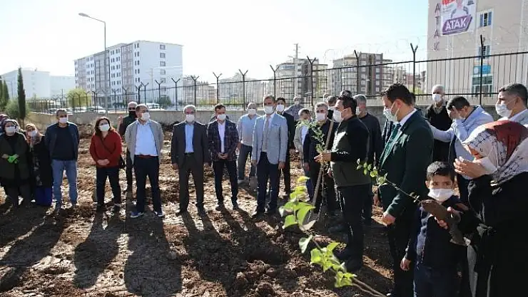 'Adıyaman´da fidan dikimleri devam ediyor'