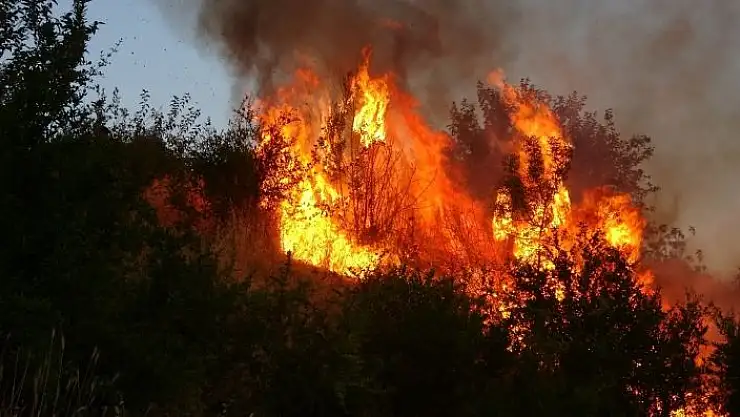 'Adıyaman´da korkutan bahçe yangını'