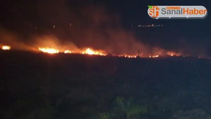 Adıyaman'da korkutan orman yangını