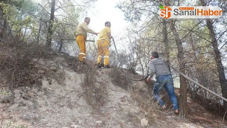 Adıyaman'da, korkutan orman yangını