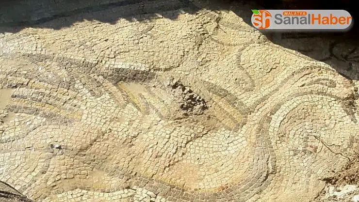 Adıyaman'da kuş figürlü mozaik bulundu