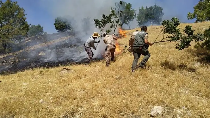 'Adıyaman´da örtü yangını'