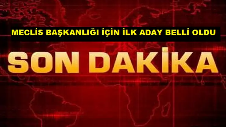 TBMM BAŞKANLIĞI İÇİN İLK ADAY BELLİ OLDU