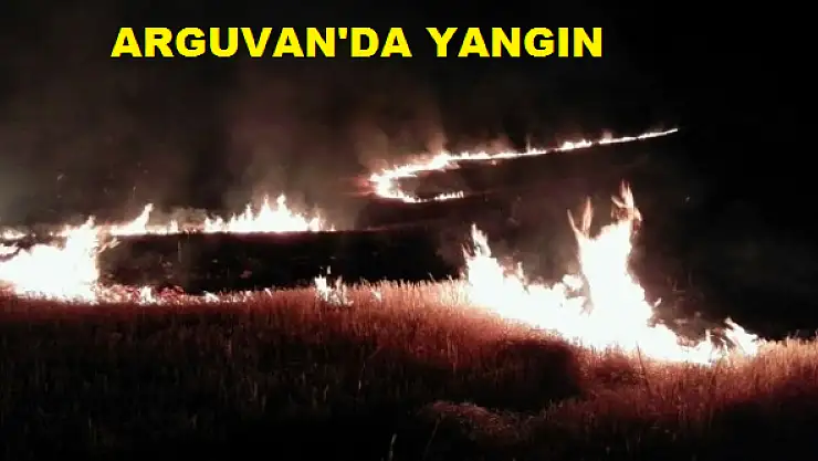 50 DÖNÜMLÜK TARLA YANDI