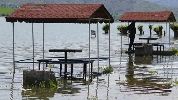 'Afrika çöllerini aratmıyordu, şimdiyse kamelyalar sular altında kaldı'