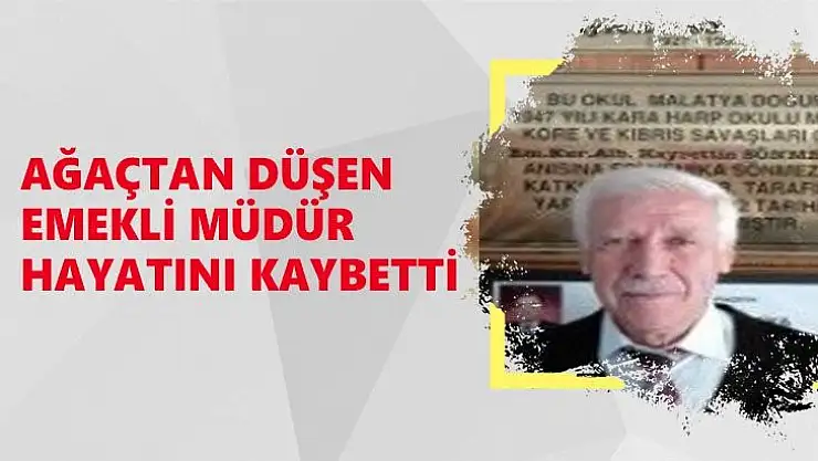 Ağaçtan düşen emekli müdür hayatını kaybetti