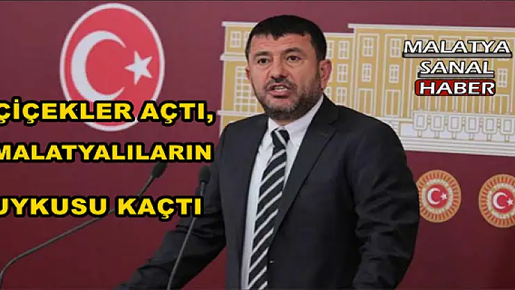 ALAN BAZLI DESTEK MALATYA´YI AYAĞA KALDIRIR
